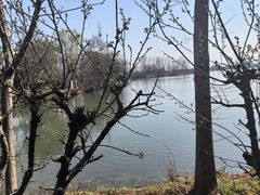 -溱湖国家湿地公园