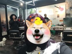 -無名发艺