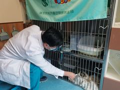 -瑞派宠物医院·24h·骨外科·皮肤科·全科宠物医疗转诊中心(沈阳浑南院)