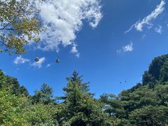 -苍山感通索道