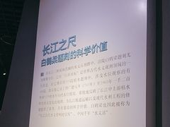 -白鹤梁水下博物馆