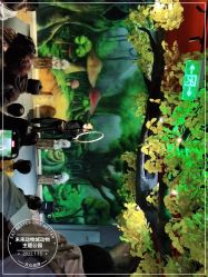 -未来动物城动物主题公园(大悦城店)