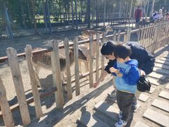 -北京麋鹿生态实验中心
