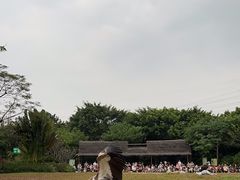 -广州长隆飞鸟乐园
