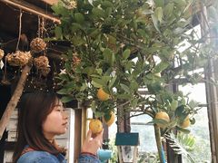 -懒鱼时光馆(沙坪坝店)