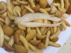 -九寨特色牦牛肉汤锅 羊肉汤锅