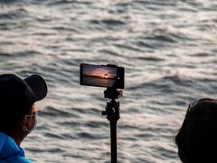 -宝安西湾红树林湿地公园