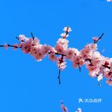 哈尔滨文庙