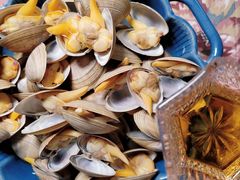 一桶黄蚬-渔娘渔家丹东海鲜(东直门店)