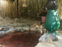 -森波拉火山温泉