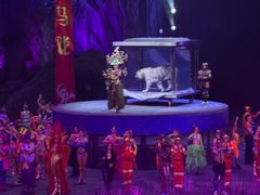 -广州长隆国际大马戏