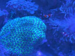 -上和臻品中国菜(花园街店)