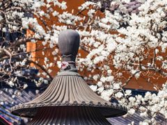 -灵谷景区