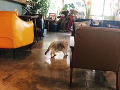 大堂-咖法森林·咖啡  酒吧(天河店)