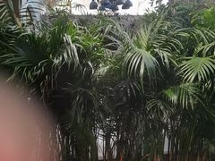 -特味村福园