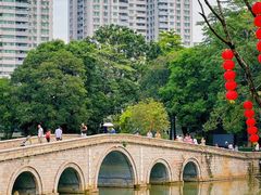 -荔湾湖公园