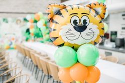 -派对猴生日派对策划