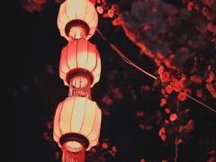 -大雁塔北广场音乐喷泉