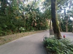 -中山公园(石岐街道)