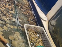 -海天盛宴新派海鲜自助餐厅(群力店)