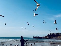 -金沙滩海水浴场(万平口景区4号门扬帆广场店)