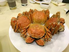 -王宝和酒家(黄浦店)