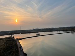 -盐城丹顶鹤湿地生态旅游区