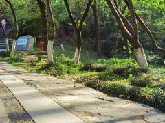 -岳麓山风景名胜区