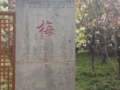 -木塔寺遗址生态公园
