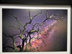 -罗红摄影艺术馆