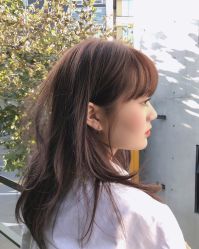 -秦·专注剪发