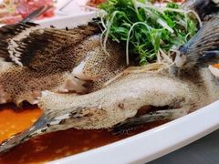 清蒸石斑-强记海鲜·大排档(蛇口新街店)