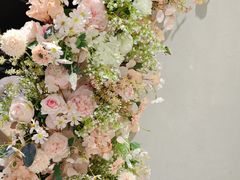 -iF摄影•全家福•证件照•形象照(南山店)