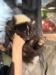 -Zoolung Zoolung动物主题公园(海信广场店)