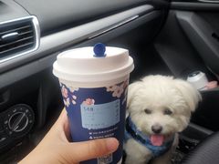 -瑞幸咖啡(云密城J栋店)