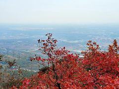 -北京鹫峰国家森林公园