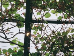 -后海16号·北京私房菜