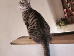 -有才叔北京时间涮肉(紫薇尚层店)