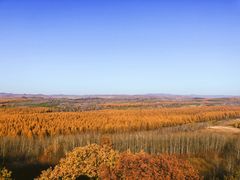 -塞罕坝国家级自然保护区