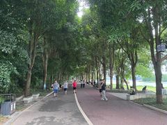 -南宁南湖公园