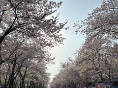 -润生源足道·SPA(个园店)