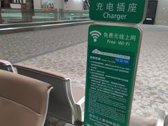 -上海浦东国际机场-T2航站楼