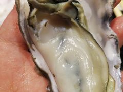 -蚝魁竹笼蒸生蚝 余杭店