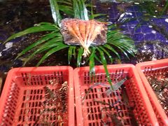 -79号渔船海鲜饭店(华强北店)