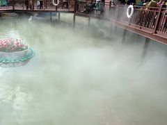 -紫马岭公园