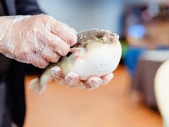 -肆月河豚·新淮扬(金融街店)