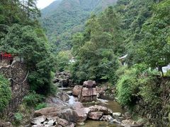 -花岩国家森林公园