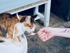 -隹木咖啡馆(宝龙广场店)