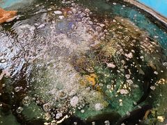 -大嫂镬仔·焖鸡煲·啫啫煲(逢源路店)