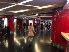 -上海金逸影城(静安大悦城店（原新恒星影城）)